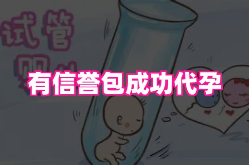 南昌助孕网 1