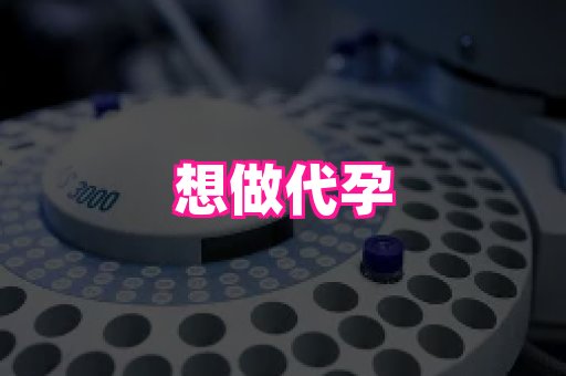 南昌助孕网 4